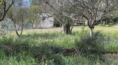 Foto 4 de Casa o chalet en venta en Arbres, 0´, Residencial Park, Maçanet de la Selva