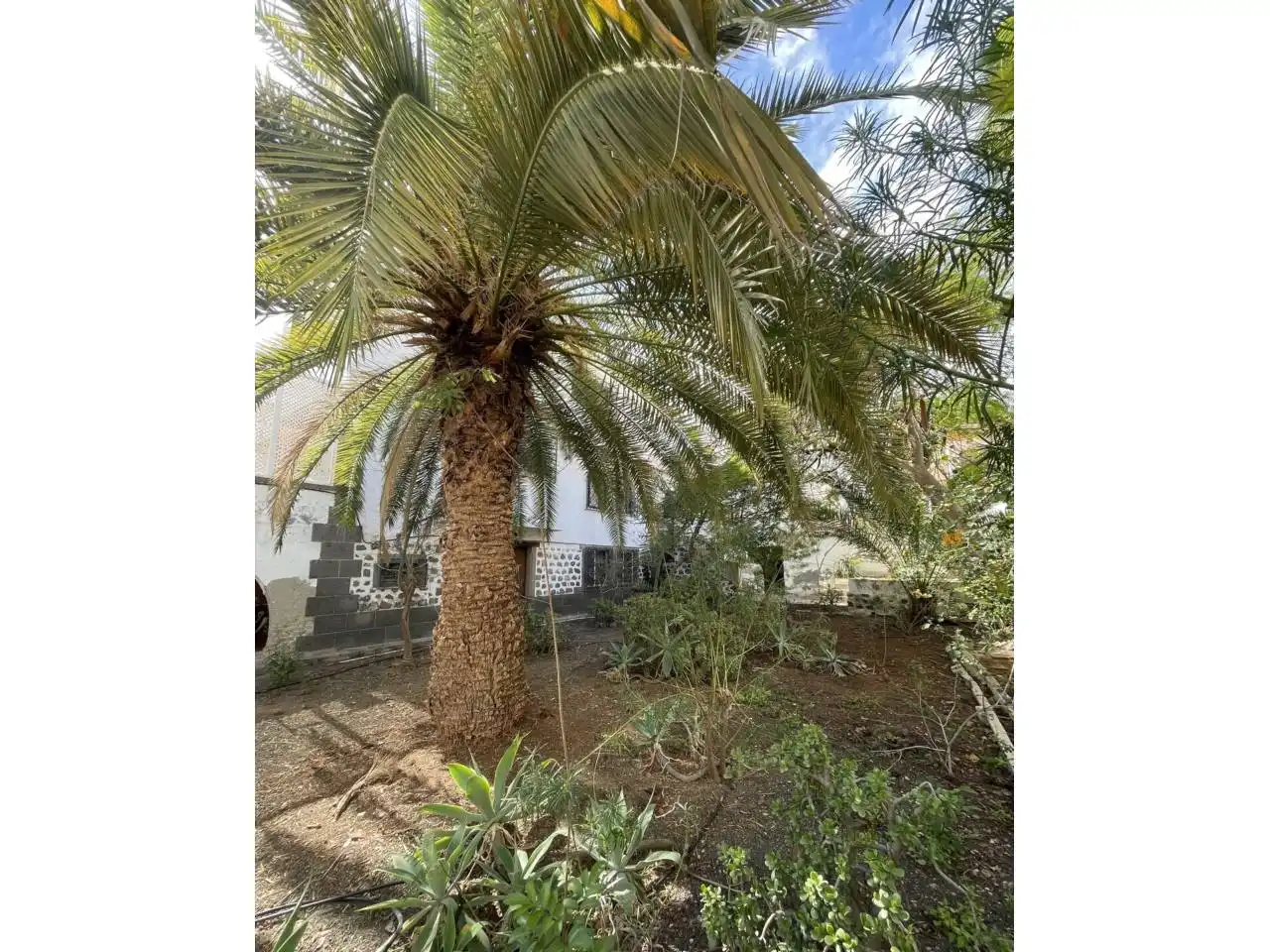 Casa o chalet en venta en Las Palmas de Gran Canaria con Jardín privado, Terraza y Piscina