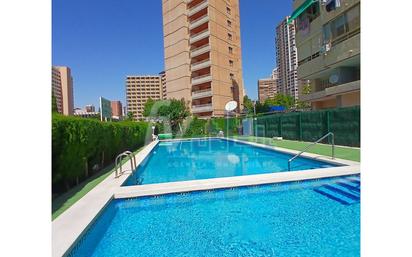 Piscina de Apartament en venda en Benidorm