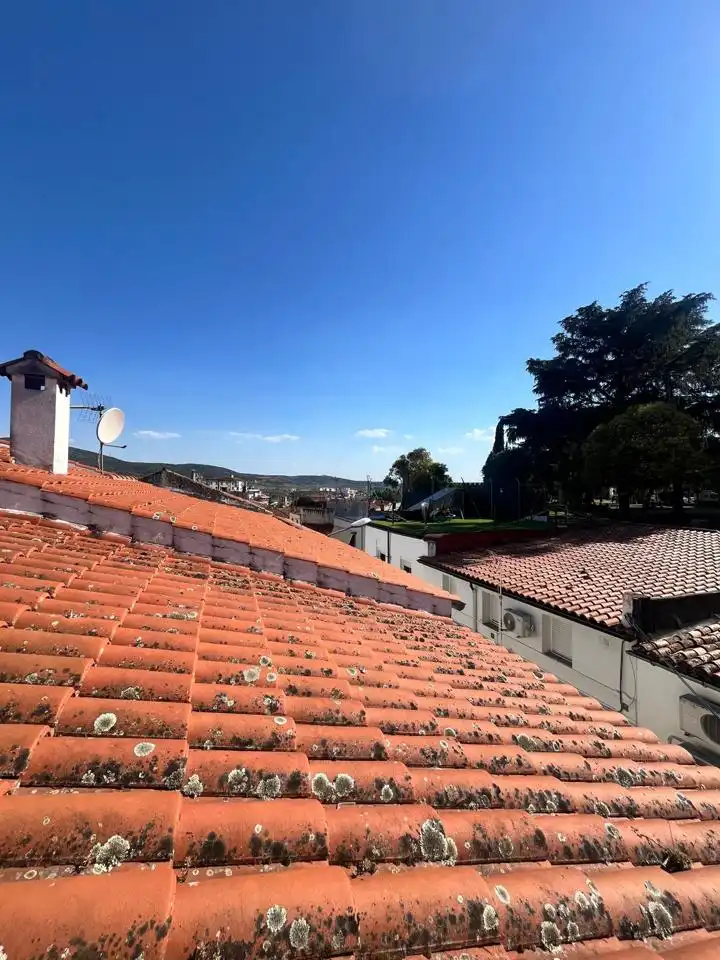 Casa en venta en Wettonia, imagen 17