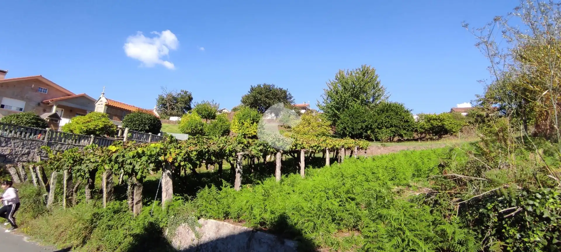 Terrenos y solares en venta en Vilaboa, imagen 5