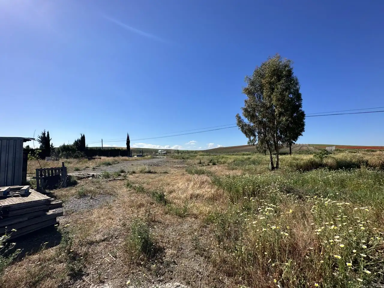 Finca rústica en venda a Las Cabezas de San Juan