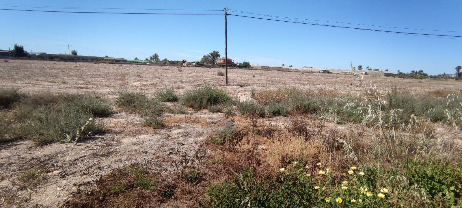 Land for sale in Alzabares