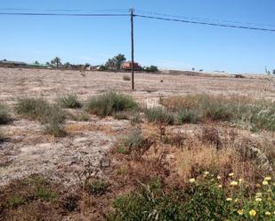Land for sale in Alzabares