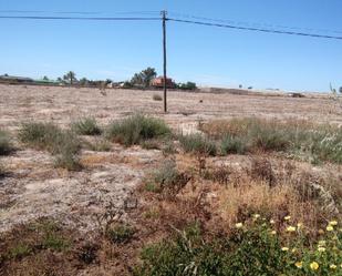 Terreny en venda a Alzabares