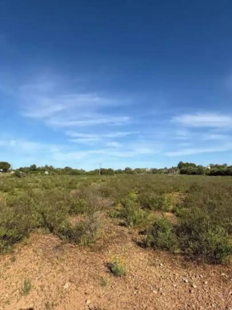 Terreny residencial en venda a Llucmajor - Camino d` Alacantí, imagen 14
