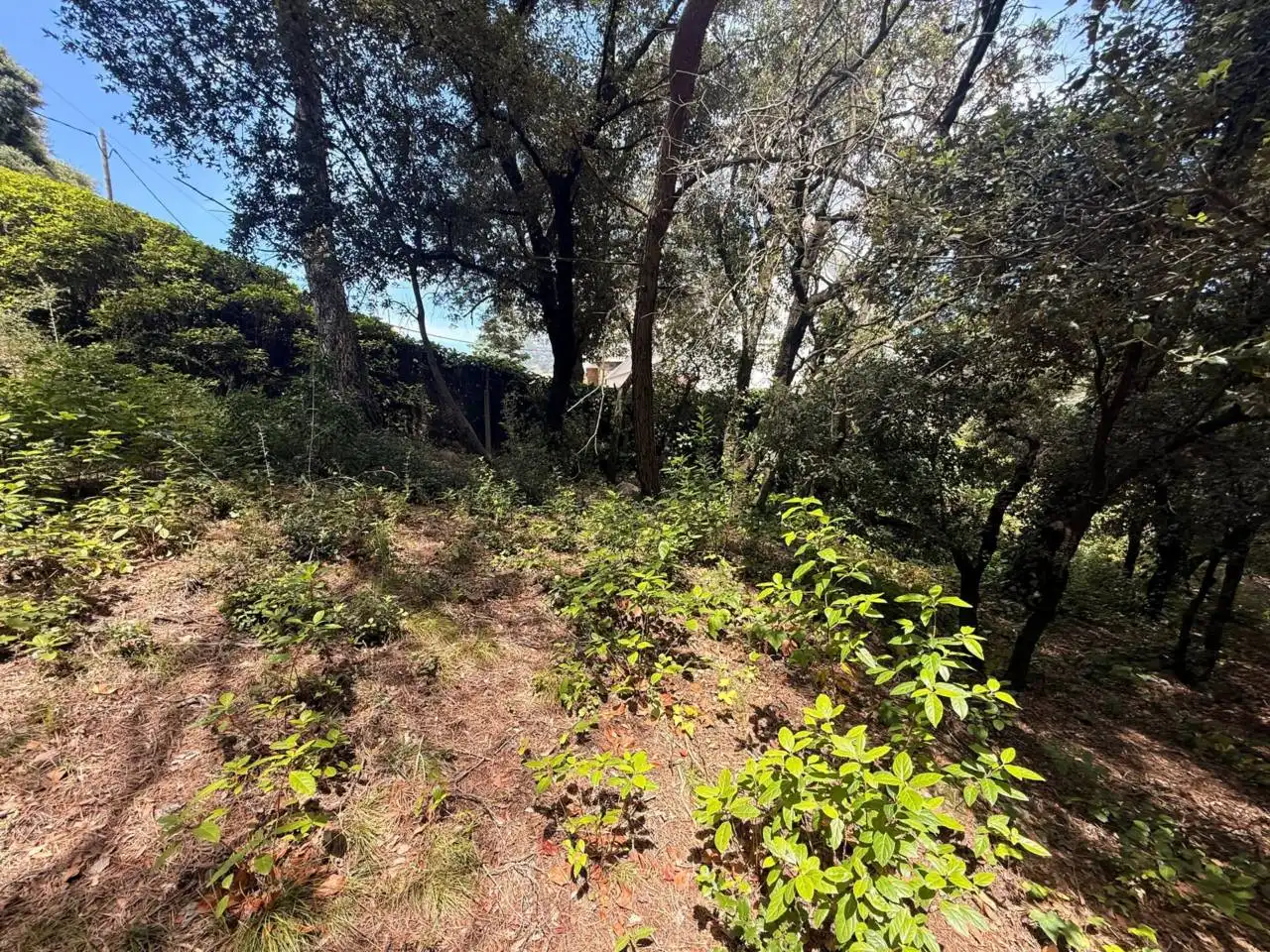 Terreno residenziale in vendita a Calle Fuente de la Pola, imagen 21