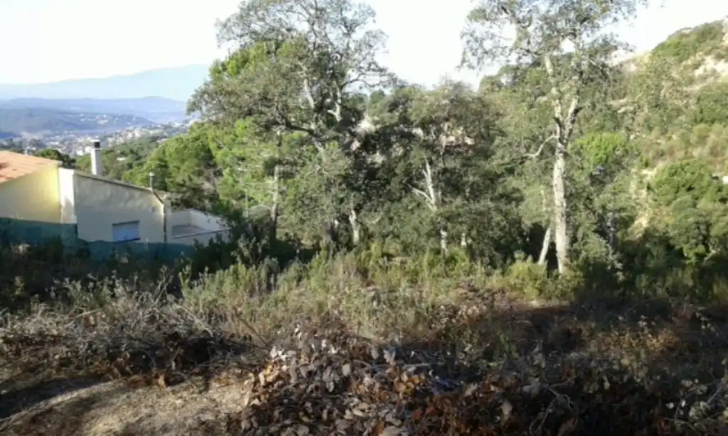 Wohnbaugrundstück zum Verkauf in Lloret Residencial - Montlloret, imagen 5