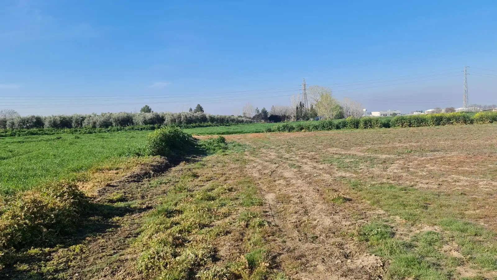 Rustikales Grundstück zum Verkauf in Avenida de Cartuja, imagen 6