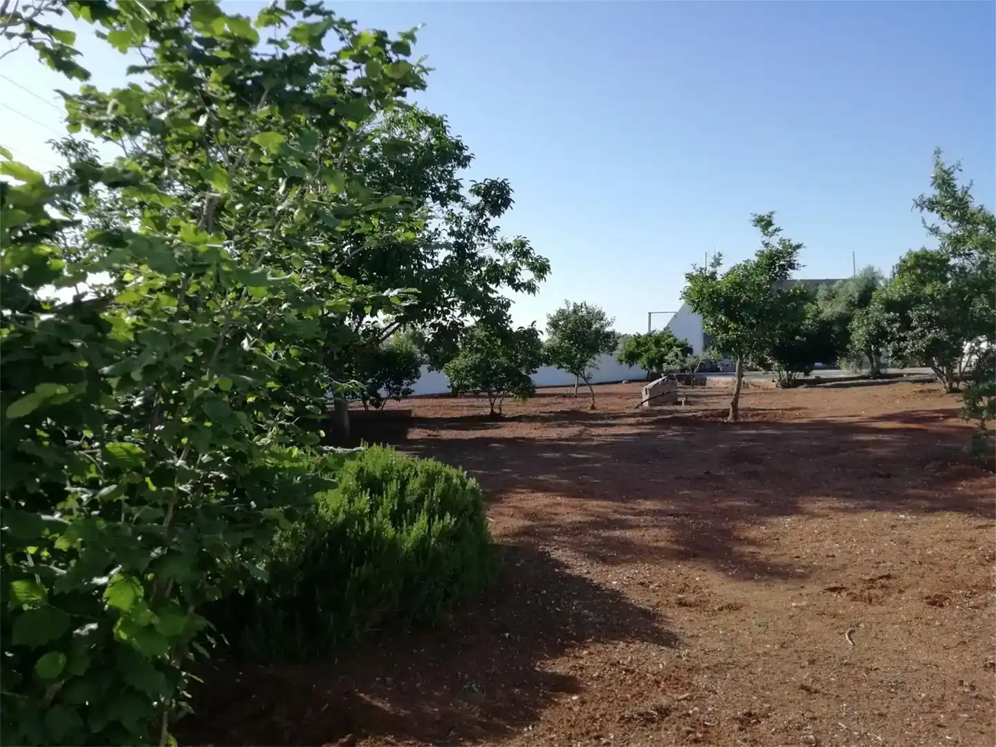 Flat for sale in Calle Halcón, 28, Almendralejo