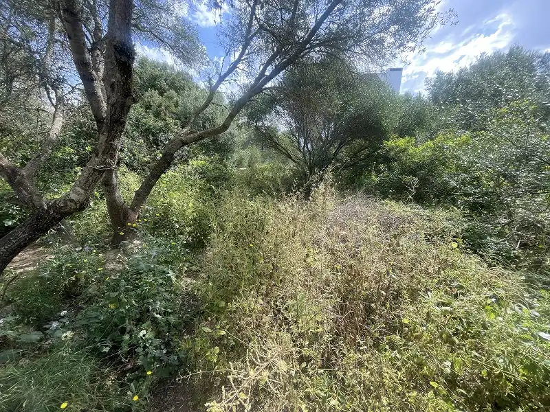 Residential for sale in Llucmajor