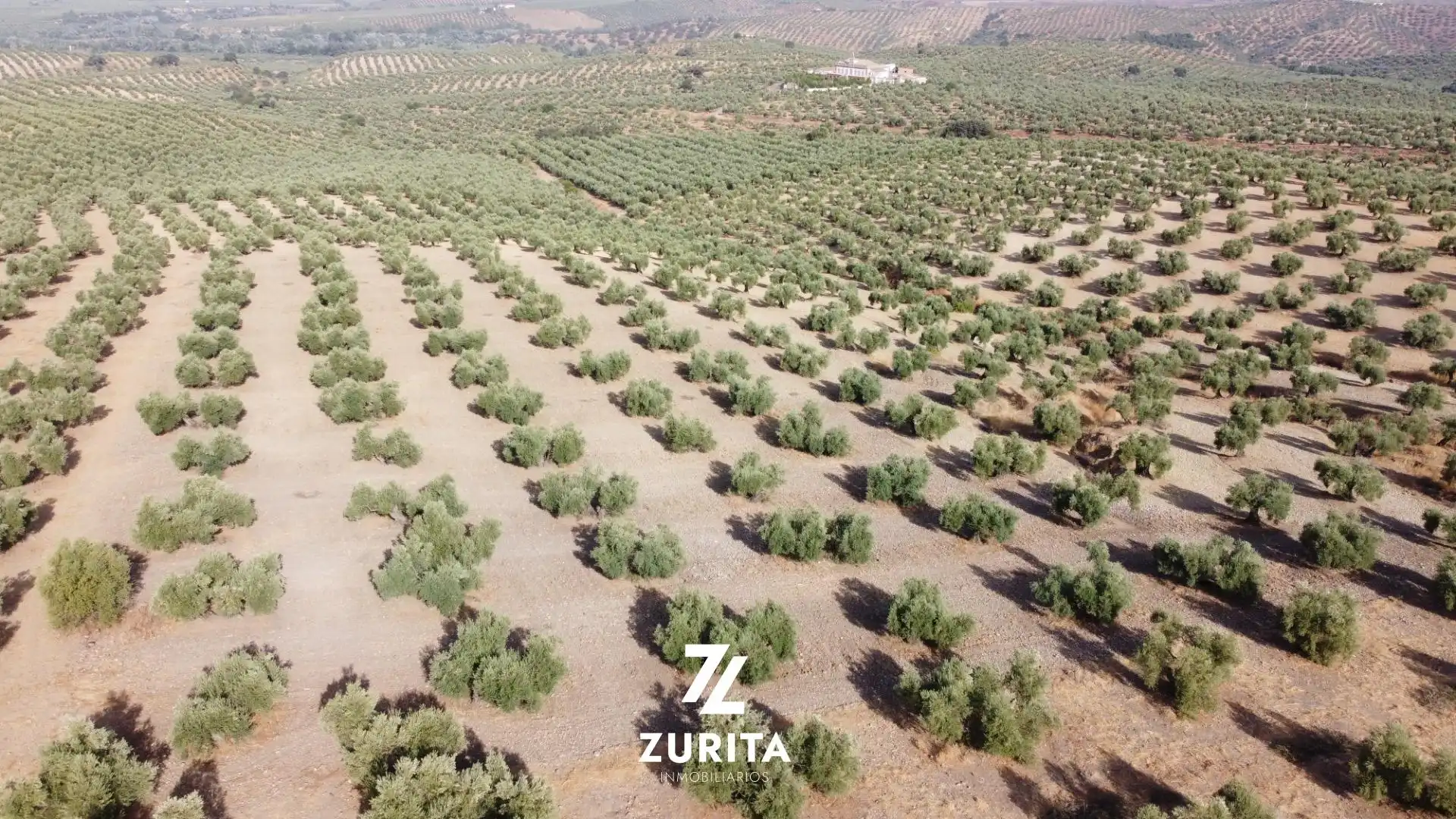 Rustikales Grundstück zum Verkauf in Montoro, imagen 8