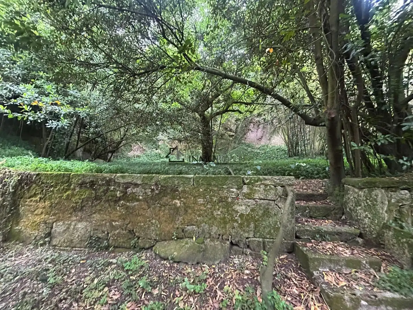 Jardí de Casa o xalet en venda en Pontevedra Capital  amb Jardí privat