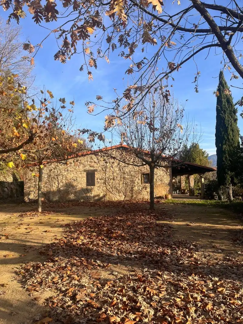Vista exterior de Casa o chalet en venta en Cuacos de Yuste con Piscina