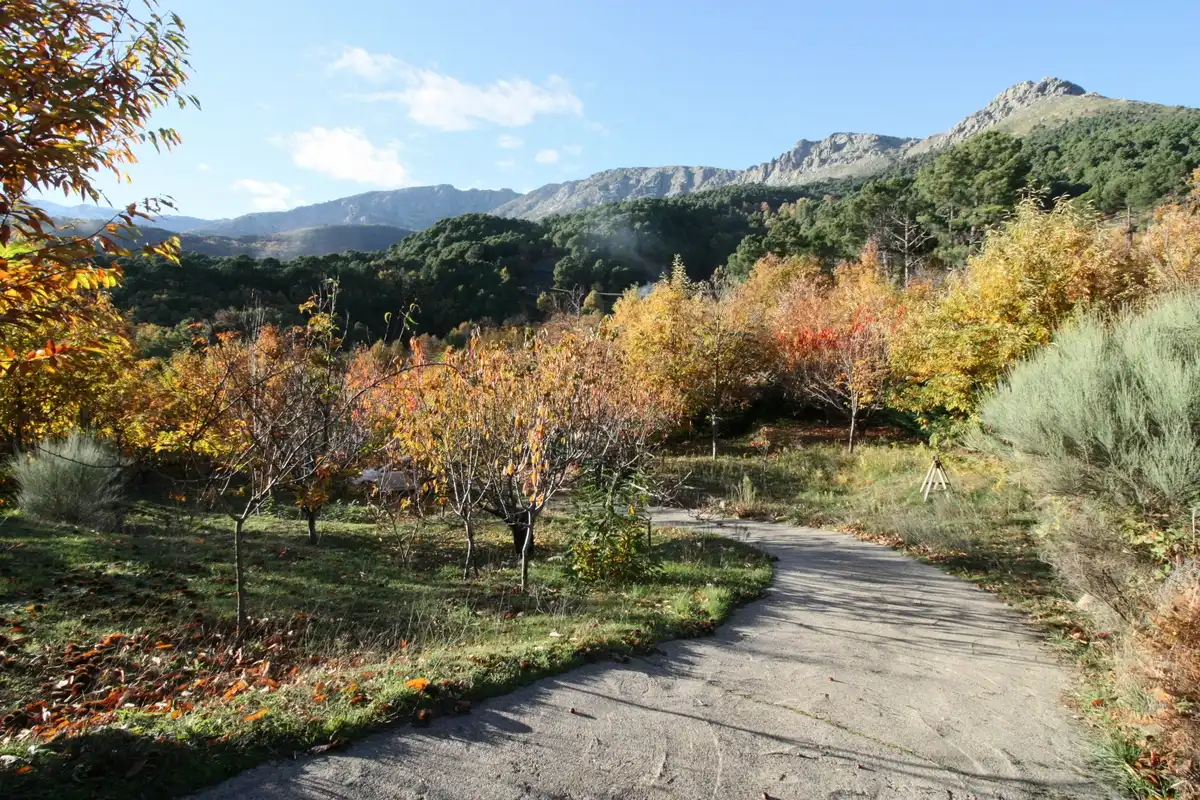 Vista exterior de Finca rústica en venda en El Arenal  amb Moblat