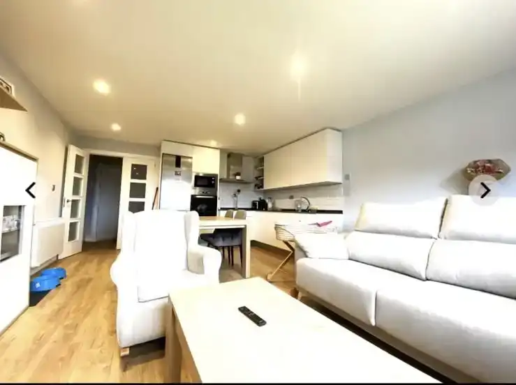 Sala d'estar de Pis en venda en Valle de Mena