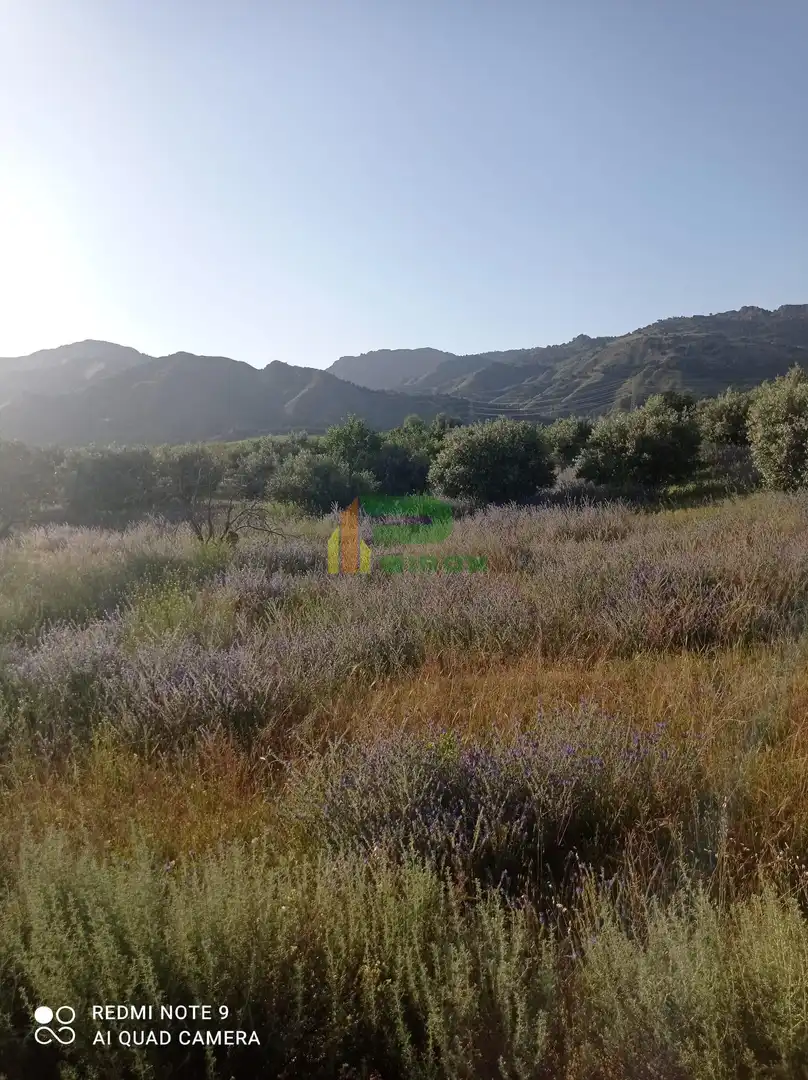 Lands and plots for sale in El saltador, imagen 8