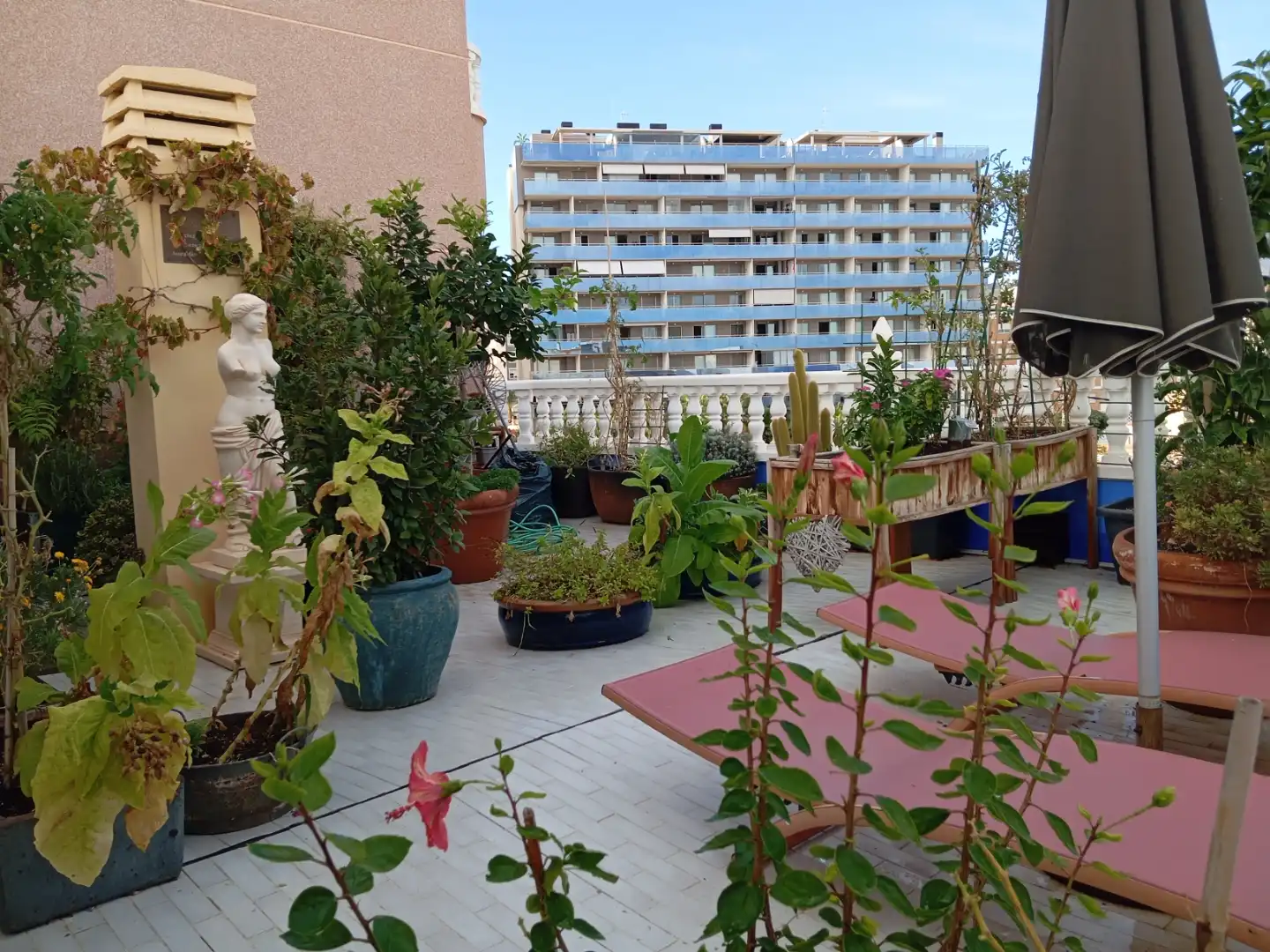 Terraza de Ático en venta en El Campello