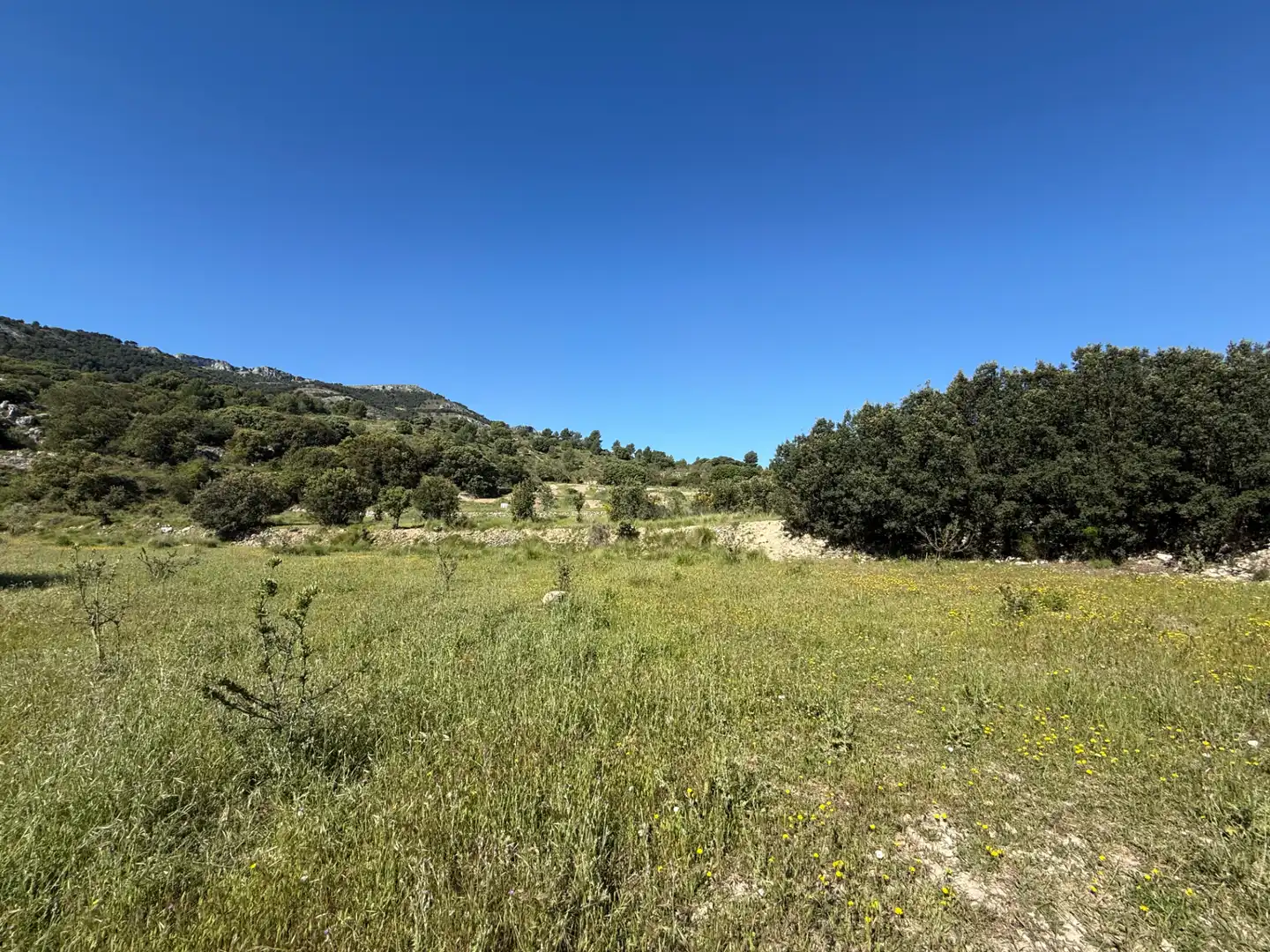 Casa con jardín en venta en Castell de Castells, imagen 3