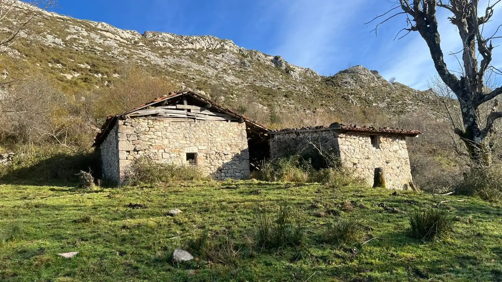 Terreno rustico in vendita a Cangas de Onís, imagen 6