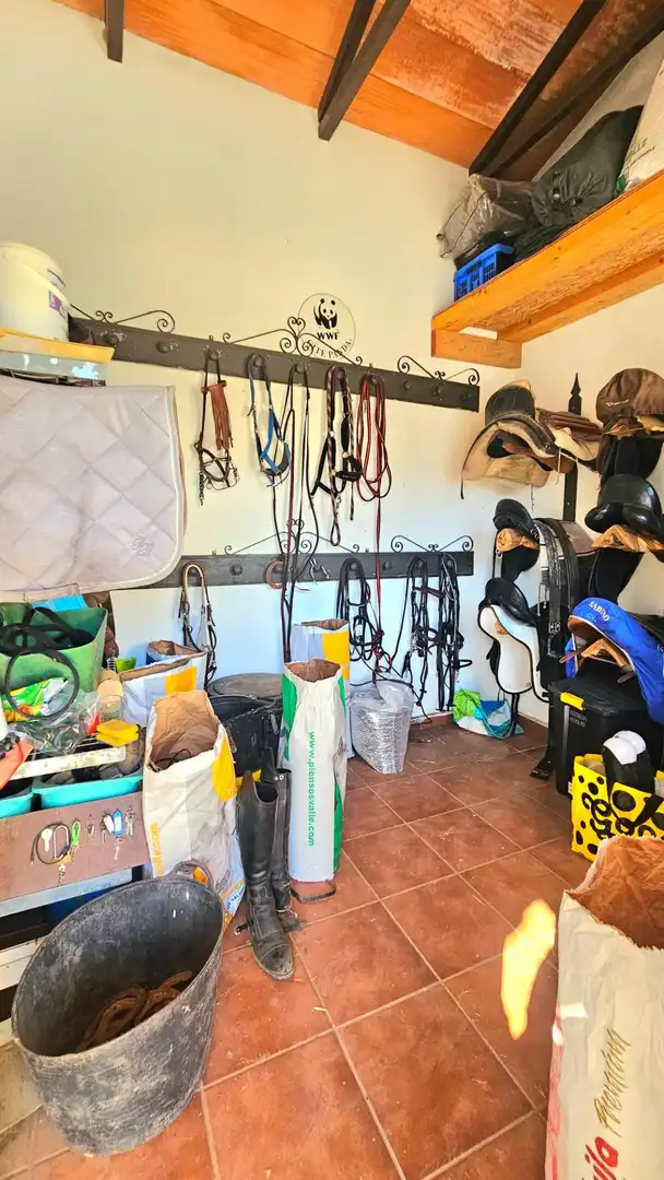 Casa rústica en venda a Las Tres Piedras - Costa Ballena, imagen 8