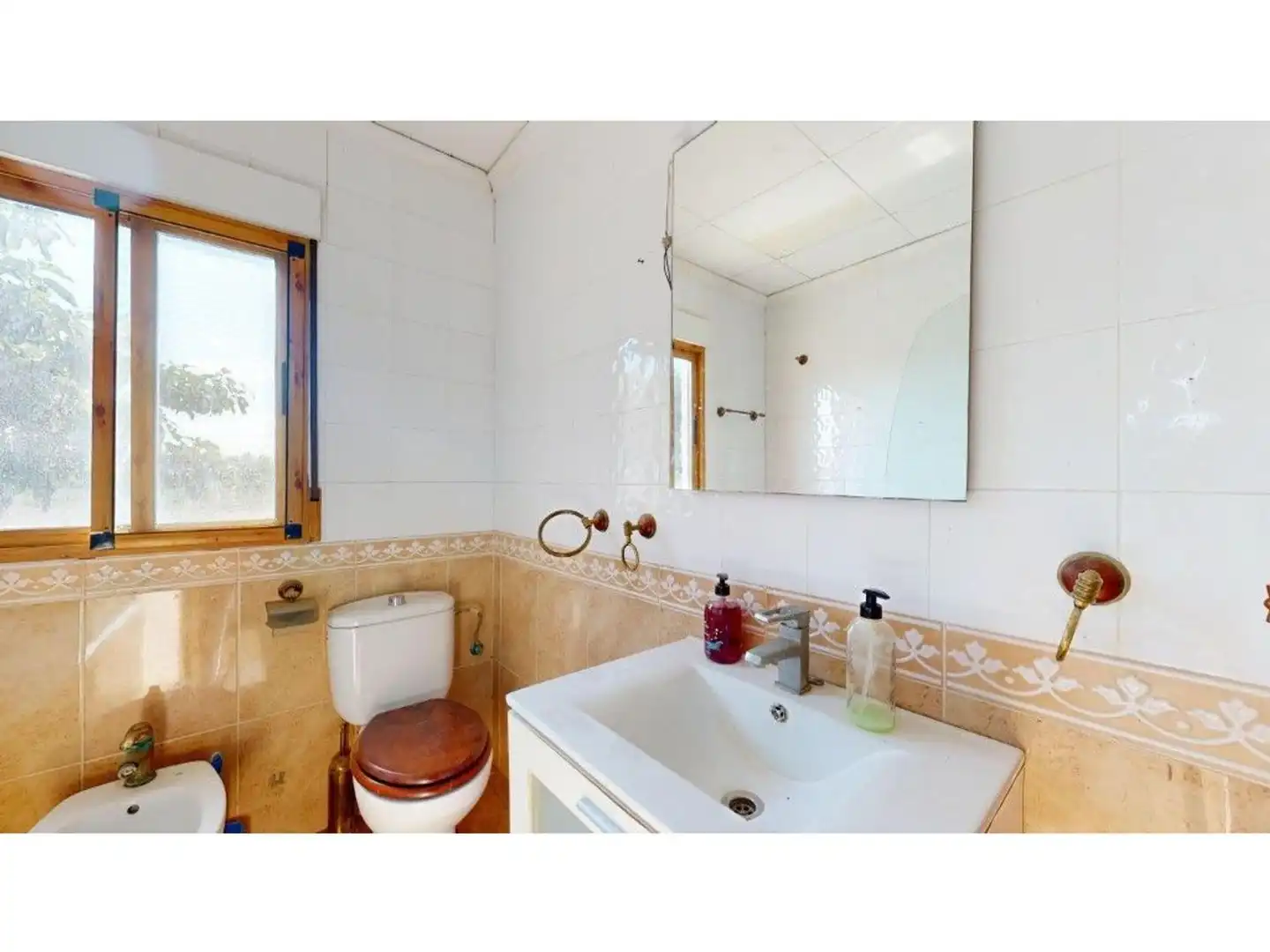 Bany de Casa o xalet en venda en Carlet amb Jardí privat, Terrassa i Traster