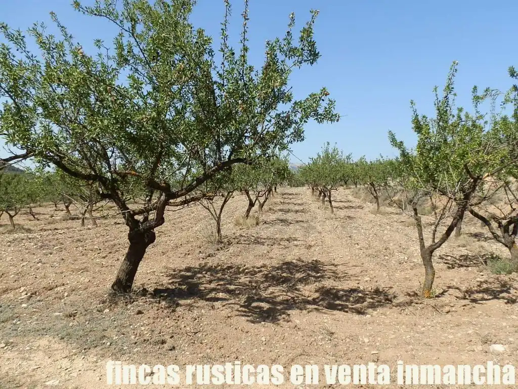 Terreny rústic en venda a Jijona / Xixona, imagen 8