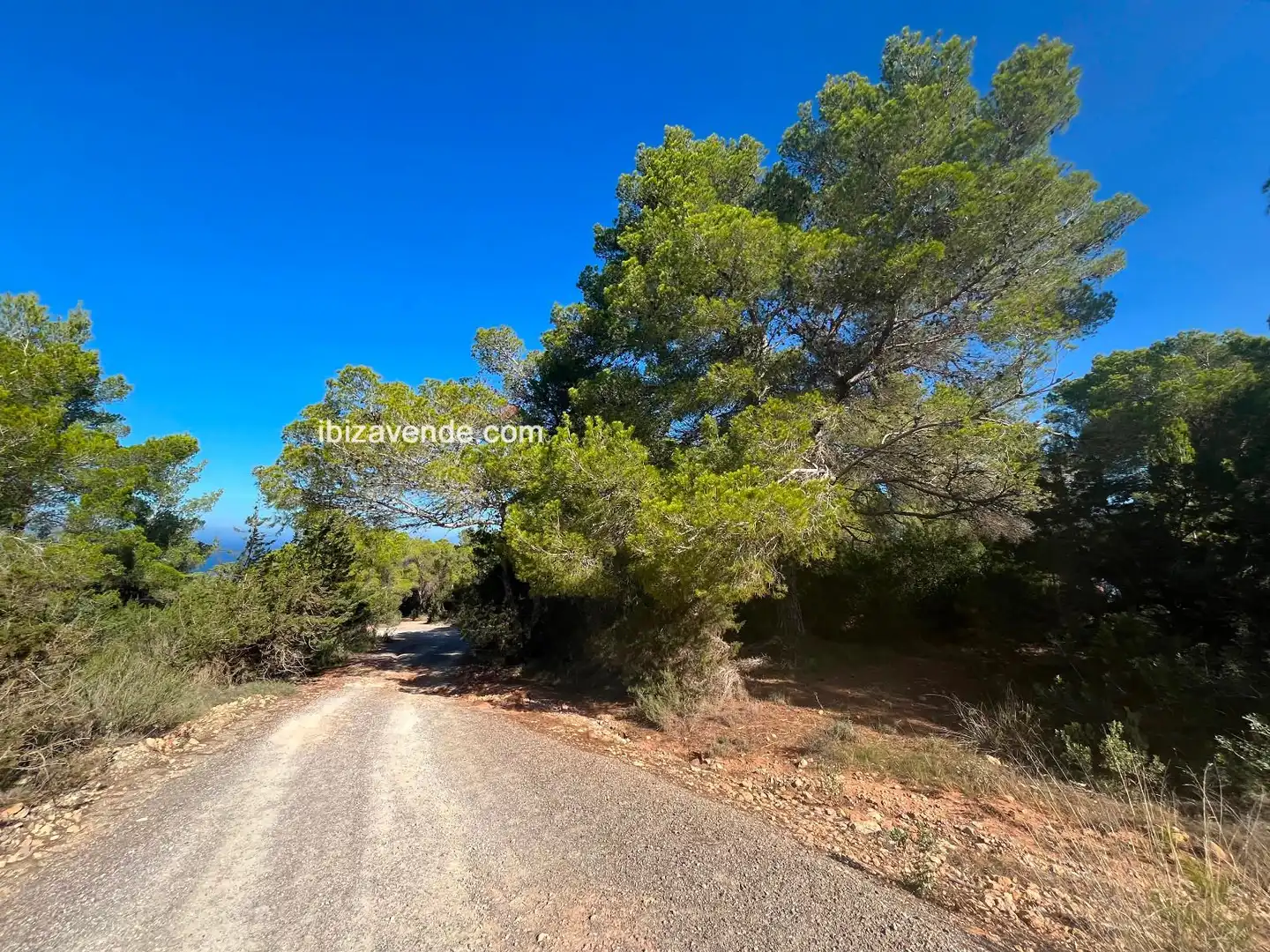 Terreno en venta en de Cala d'Hort, Es Cubells