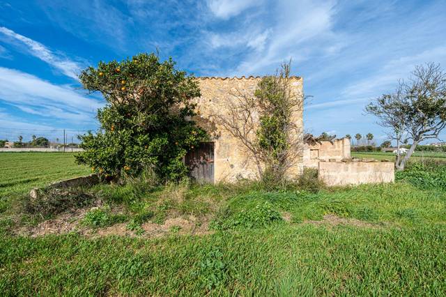 Terreno en Venta en Montuïri
