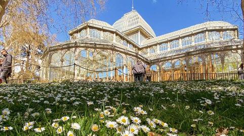 Foto 4 de Planta baixa en venda a Imperial,  Madrid Capital