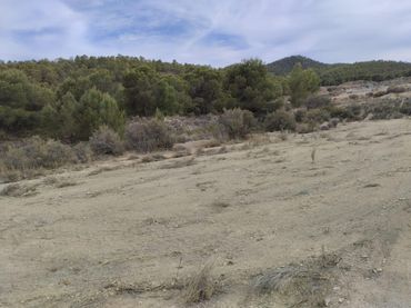 Terreno rustico in vendita a Totana