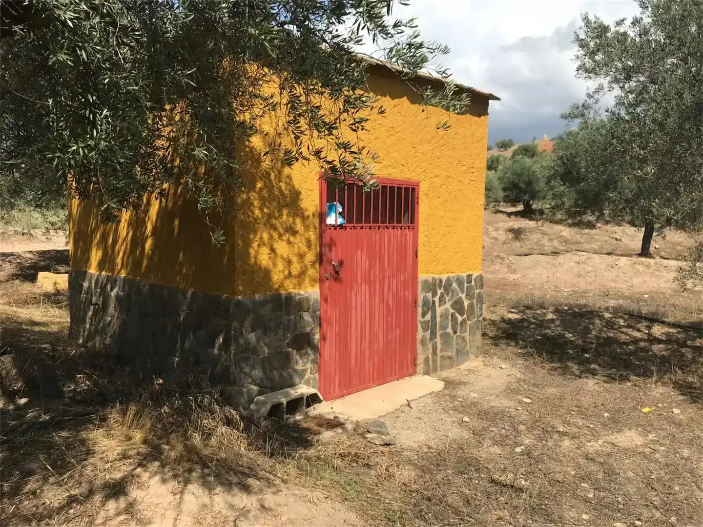 Vista exterior de Finca rústica en venda en Fiñana