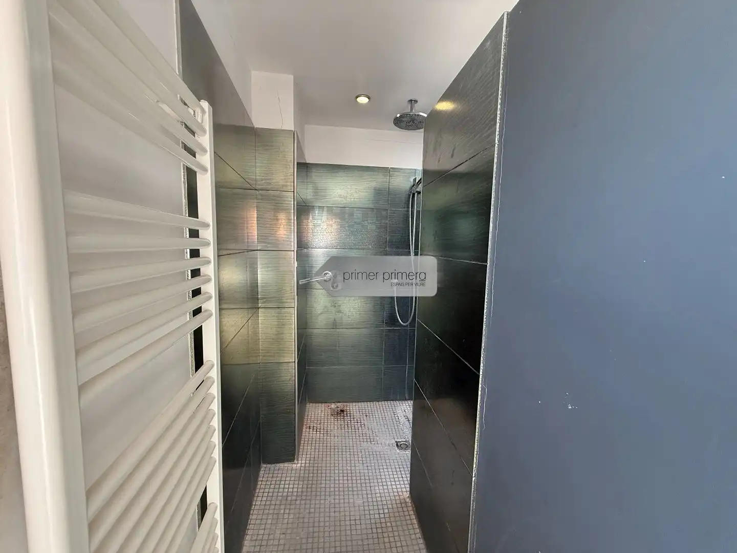 Baño de Casa o chalet en venta en Vilobí d'Onyar con Aire acondicionado, Calefacción y Jardín privado