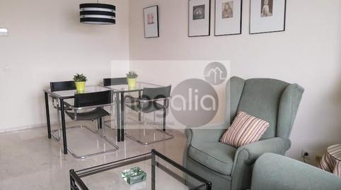 Foto 5 de Piso de alquiler en Parque María Luisa -Giralda Sur, Sevilla