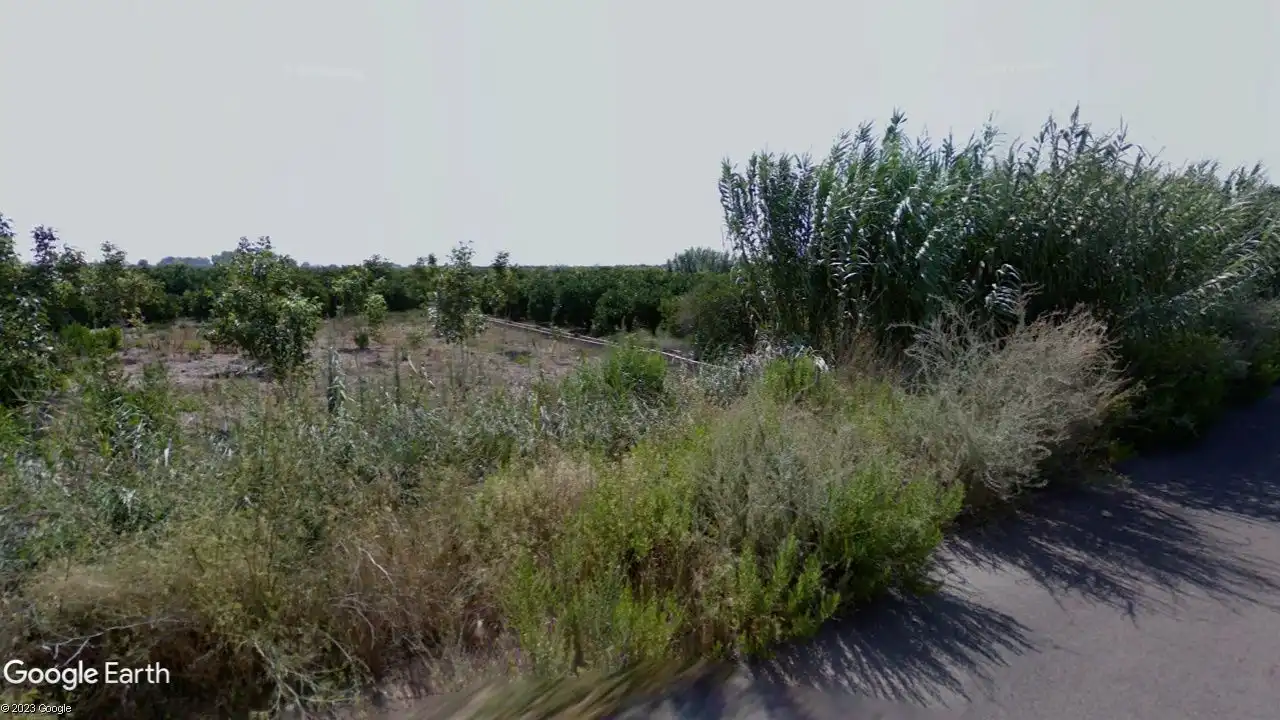 Terrain rustique à vendre à Sagunto ciudad, imagen 2