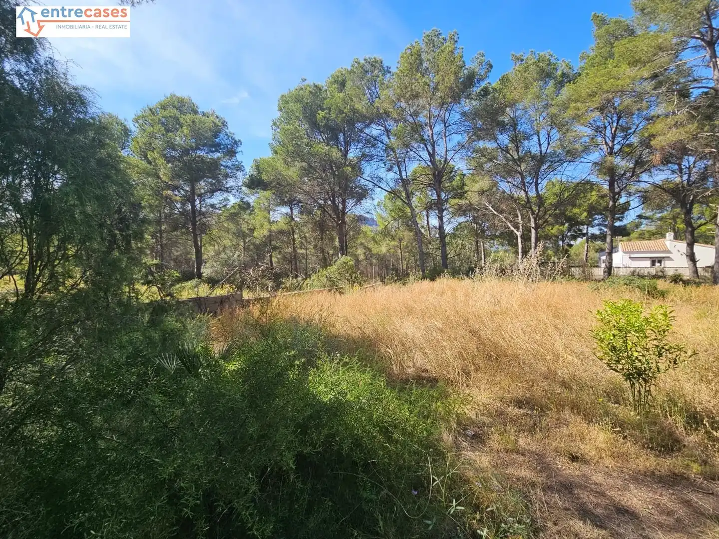 Residential land for sale in Gilet, imagen 14
