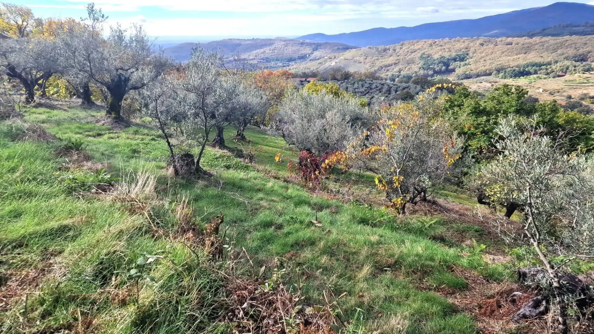 Terreno en venta en Guijo de Santa Bárbara