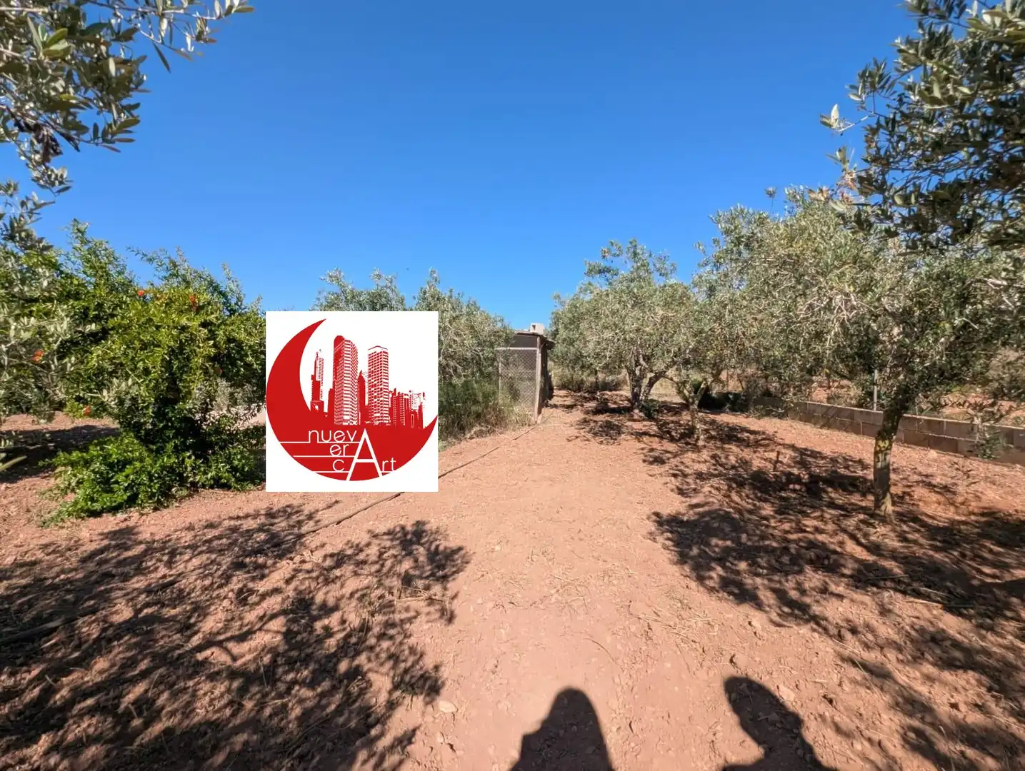Finca rústica en venda en Fuente Álamo de Murcia