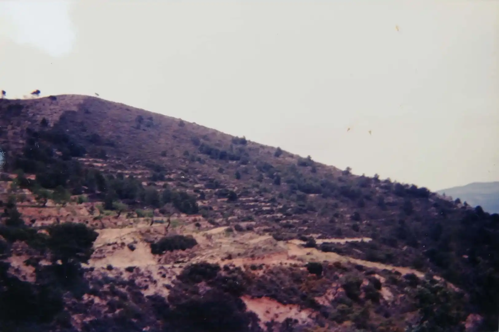 Rural land for sale in Torremanzanas / La Torre de les Maçanes, imagen 2