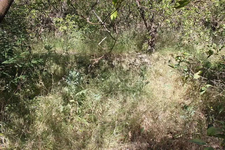 Terreni e lotti in vendita a Andalucía, imagen 9
