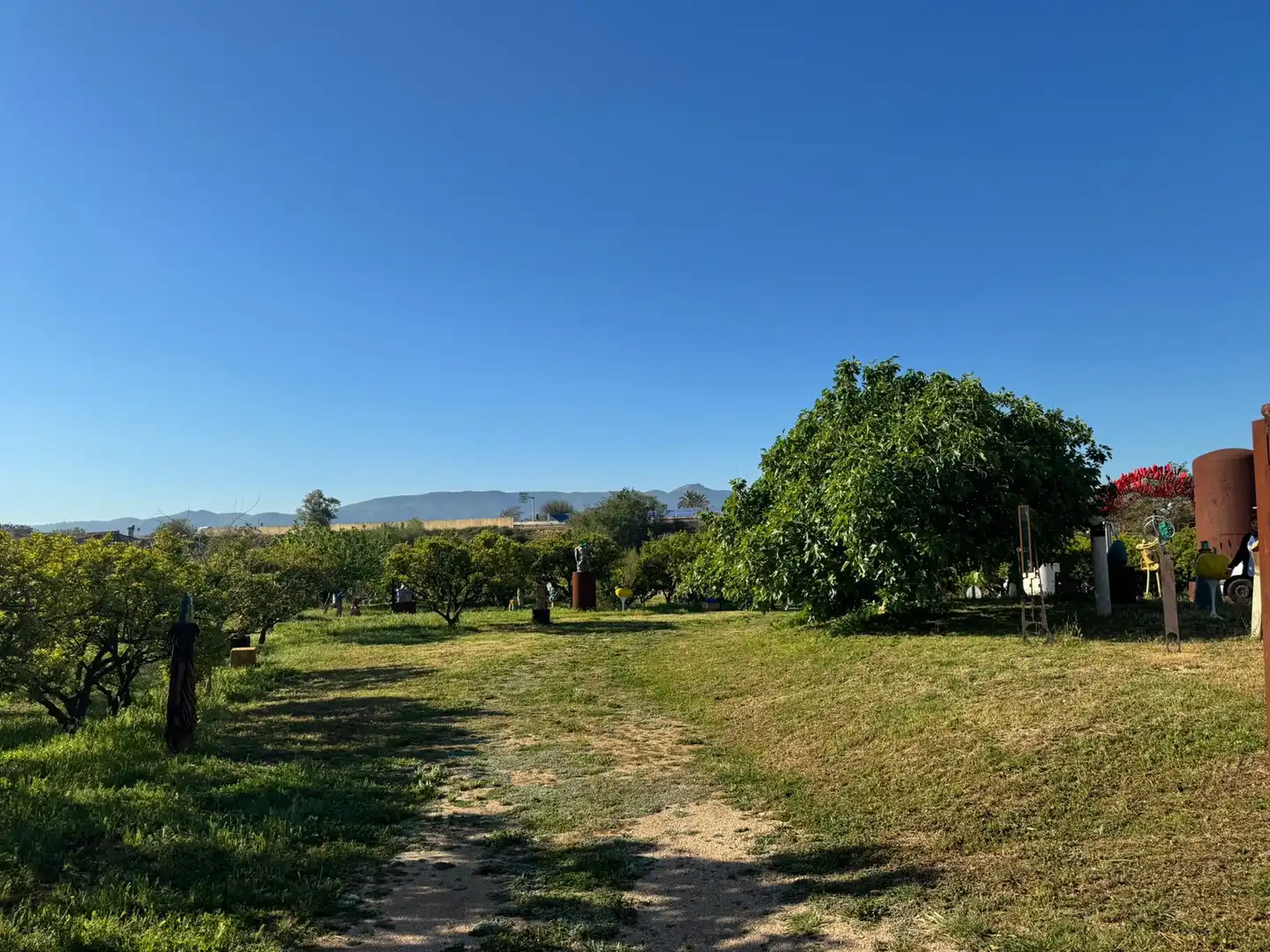 Country house for sale in Ondara, imagen 9