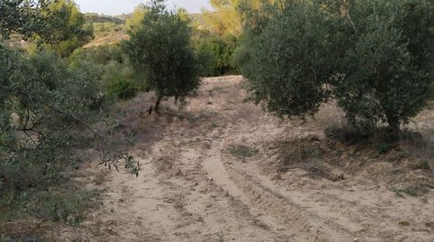 Foto 5 de Terreny en venda a L'Albagés, Lleida