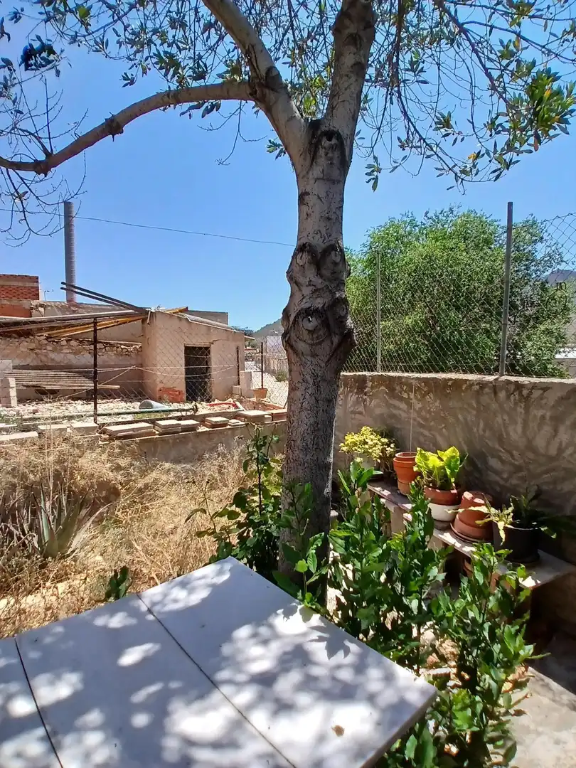 Xalet en venda a Algueña, imagen 37