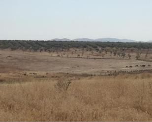 Residencial en venda en Almendral