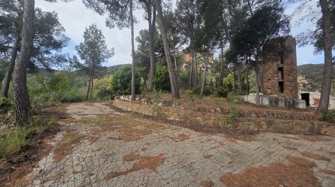 Terreno en Begues, imatge 5