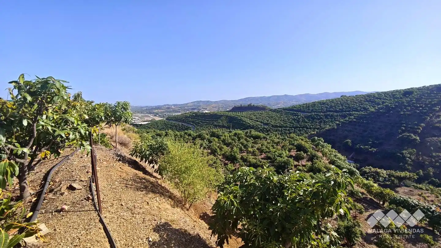 Terreno rústico en venta en Diseminado Atalaya Baja, imagen 4