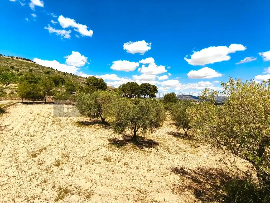 Finca rústica en venta en Sax