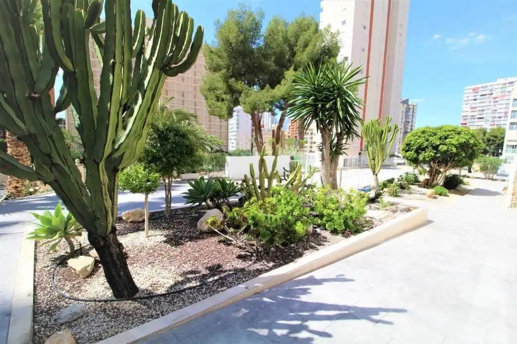 Terrasse von Wohnungen zum Verkauf in Benidorm mit Klimaanlage, Heizung und Privatgarten