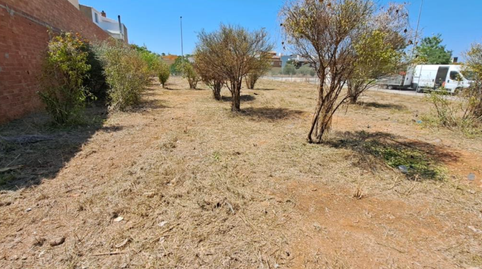 Photo 3 of Residential for sale in Algarrobo, 31, Ciutat del Transport - La Salera, Castellón de la Plana / Castelló de la Plana