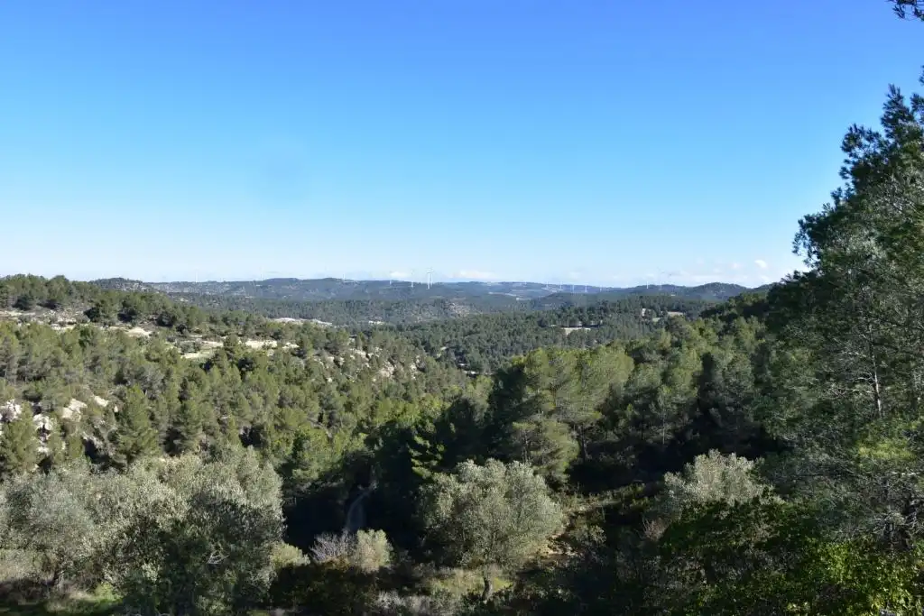 Finca rústica en venda en Arens de Lledó